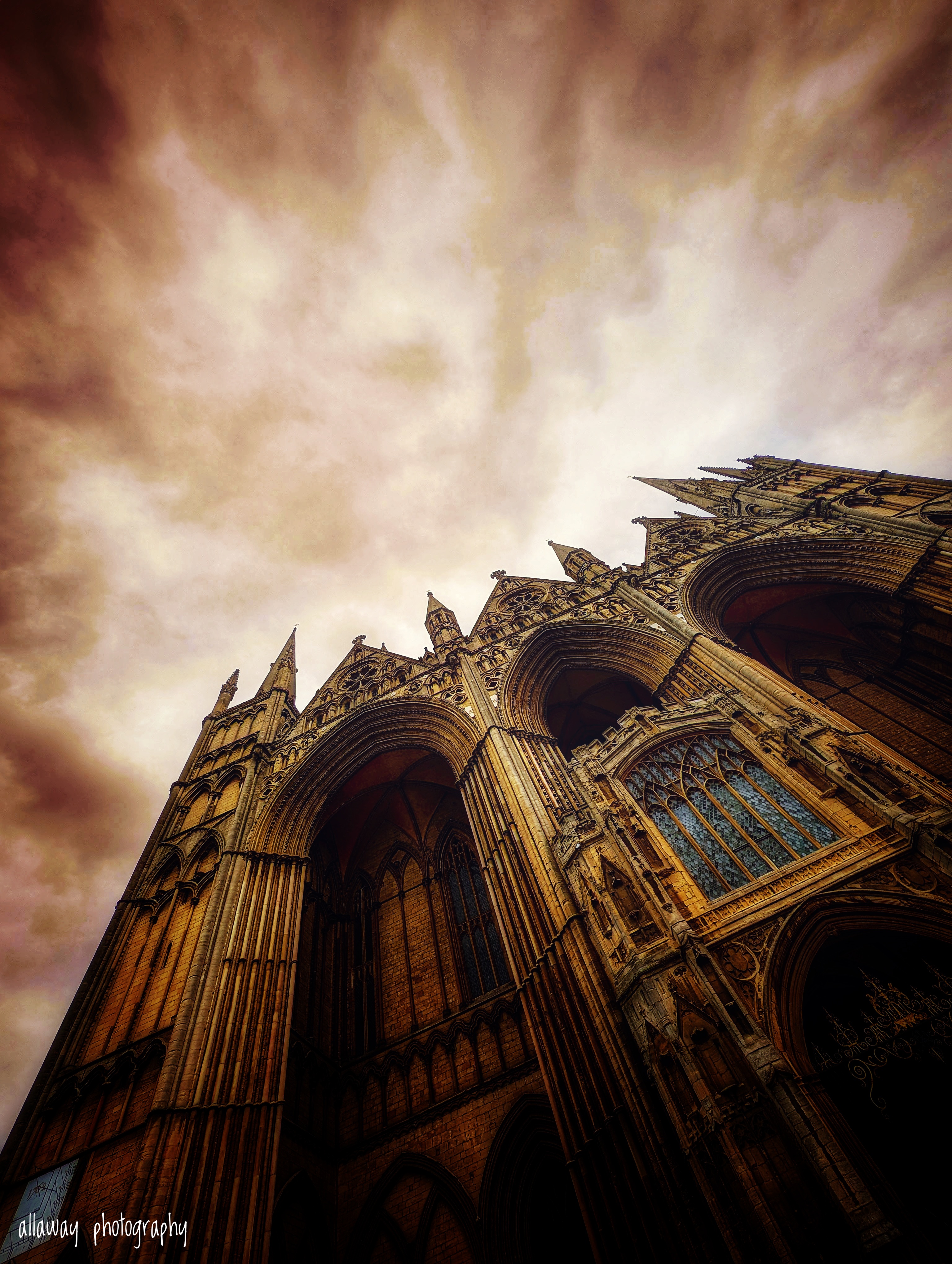 Professional photography work